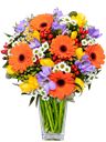 Bouquet di gerbere arancio