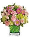 Composizione di roselline rosa chiaro