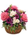 Cesto di vimini di rose rosa