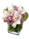 Composizione con orchidee bianche