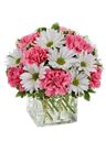 Composizione bianco e rosa