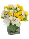 Composizione lisianthus e rose