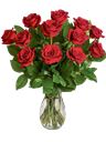 Mazzo di 12 rose rosse