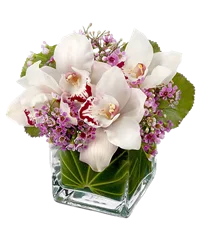 Composizione con orchidee bianche