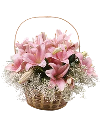 Cesto di lilium rosa